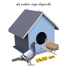 Ahşap Kumru Ve Güvercin Yuvası Dış Mekan Suya Dayanıklı 25x25x30 Cm