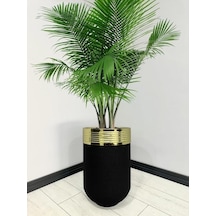 Elegant Dekoratif Gold Darbuka Siyah Saksı 60cm
