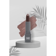 Uzun Süre Kalıcı Yoğun Renk Veren Nemlendirici Parlak Ruj - Glossy Lipstick 316 Dusty Plum Çok Renkli