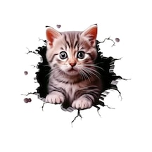 3d Kedi Motorsiklet,cam, Laptop, Kask, Araba Sticker 13x13 Cm