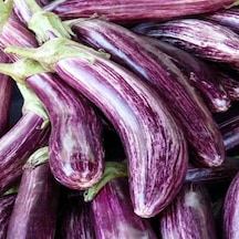 Long Variegated Patlıcan Tohumu 15 Tohum