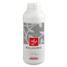 Bellasimo (Ph Regülatörü) Ph Düşürücü 1 L