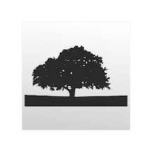 Folyo Sticker Ağaç Adkpquy107 160cm Uzunluk Siyah
