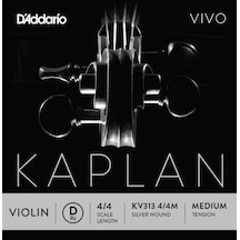Daddario Kv313 Keman Tek Tel Kaplan Vivo La-a , 4/4