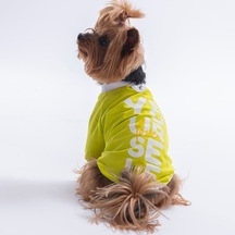 Yellow-sarı Yourself Love Sweat Kedi Köpek Sweati - Kedi Köpek Kıyafeti