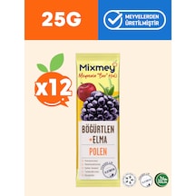 Mixmey Bee Polen Böğürtlen Meyve Barı 12 Adet | Atıştırmalıklar – Glutensiz (25GR X 12 ADET)