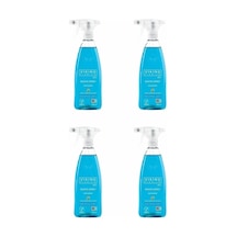 Viking Banyo Spreyi Dağ Nanesi 4 x 750 ML
