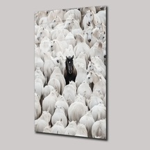 Siyah Asalet Cam Tablo Siyah Temalı Modern Duvar Dekoru 50x70 C