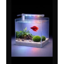 Alıon Akvaryum Aydınlatma 15 Cm Led 12 Volt Beyaz Kırmızı 2835 Şerit