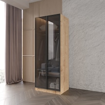 Ülgen 2 Kapaklı Giyinme Dolabı Tamamı Mdf Led Askı Borusulu Füme Camlı Safir Meşe