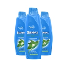 Blendax Isırgan Özlü Dökülme Karşıtı Şampuan 3 x 470 ML