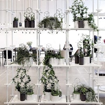 Lebihmurah 2925 Bitkiler Destek Çerçevesi Paslanmaz Saksı Bitki Tırmanma Asma Rafı