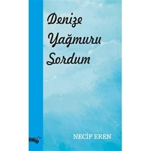 Denize Yağmuru Sordum / Necip Eren