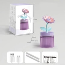 Çiçek Hava Nemlendirici Modern Renk Kombinasyonları