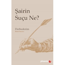 Şairin Suçu Ne / Bülent Pancarcı