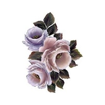 G162 17X25 Gülsün Ülkü
