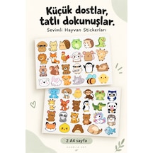Çok Renkli