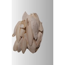 Kalamar Kemiği 100 Gram, Kırıklı Ve Ufak Boy
