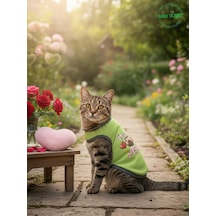 Yeşil Renkli Patili Aşk Baskılı Kedi Ve Köpek Kıyafeti Tişörtü Elbisesi Small/s/beden 1
