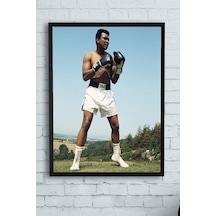 Pster12775 Muhammed Ali Dövüş Çerçeveli Tablo 2 21x30cm 7/8 Yaş