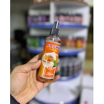 Oto Parfüm, Sprey Araç Kokusu 100 Ml Kavun
