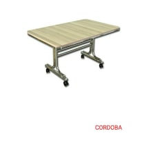 Pratik 70X110 Tekerlekli Orta Sehpa Krom Nikel Kaplamalı Metal (494118493)