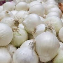 Beyaz Kışlık Kuru Soğan Tohumu 20 Adet..