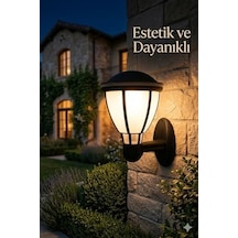Kupa Serisi Bahçe Duvar Apliği 37 Cm - Siyah E27 Duylu Zita Dış Mekan Lambası - Ip54 Su Geçirmez, Uv Korumalı Modern Tasarım Ampul Hariç 4 Işık