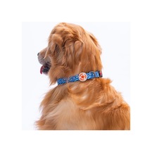 Charm Nazar Boncuğu Desenli Köpek Boyun Tasması Ayarlanabilir Köpek Tasması S Mavi