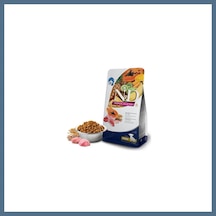 Buradabulabilirsin Tropical Selection Kuzu Etli Ve Tropikal Meyveli Mini Irk Yavru Köpek Maması 1,5 Kg Bbz