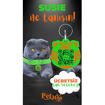 Petjoo 3.Susie Turuncu-Yeşil Qr'lı Kedi Künyesi