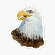 Araba Için Kartal Oto Sticker Yapıştırması Etiket 17Cm A6