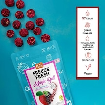 Pol's Freeze Fresh Dondurularak Kurutulmuş Magic Ball Böğürtlenli Elma Topları 16 Gr 15 G