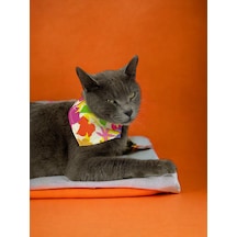 Kemique Summer Bandana Fular Kedi Kıyafeti