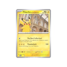 Pokemon Pikachu At The Museum Promo Büyük Boy Kart