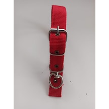 Kozaklı Orta Irk Köpek Tasması Kırmızı 60 x 3 CM