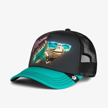 Goorin Bros Concrete Habitat - Miami Unisex Siyah Şapka 101-2840
