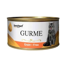 Bestpet Gurme Jöleli Somonlu Yetişkin Kedi Konservesi 100 G