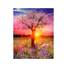 Ağaç Kadın Ve Günbatımı Çerçeveli 40x50 Sayılarla Boyama Hobi Seti Diğer