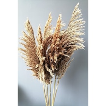 Kuru Çiçek Pampas 7 Adet 100 Cm Boy Diğer