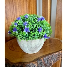 Premium Saksılı Yapay Çiçek Dekoratif Masaüstü Bitkisi 13x16 Cm Çok Renkli