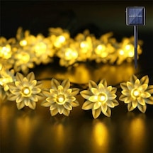 Solar 7 Metre 50 Led Papatya Günışığı Renk Dış Mekan Işıkları, Güneş Enerjili Dekoratif Led Işıklar