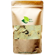 Kök Zencefil Paket 100g