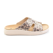 Leopar