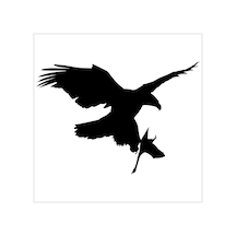 Kartal Folyo Sticker Derstv757 30cm Uzunluk Siyah