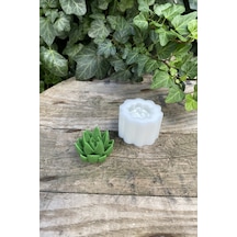 Rufus Concept Agavoides Sukulent Mum Kalıbı ( Silikon )