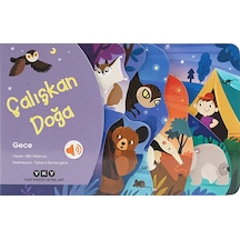 Çalışkan Doğa - Gece - Aıaı-885806