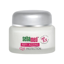 Kırışıklık Karşıtı Q10 Krem 50ml