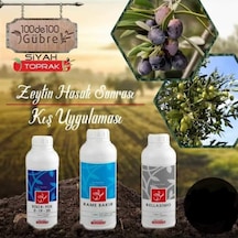 Zeytin Ağacı Hasat Sonrası Kış Uygulaması Gübre Seti