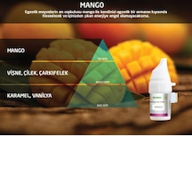 Rulopak 200567 160 Mango Koku Kartuşu